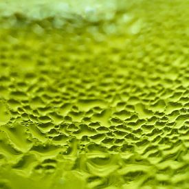 De groene gloed van macrobellen van Frank Photos