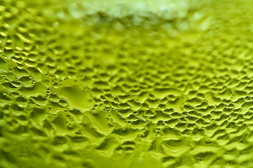 The green glow of macro bubbles by Frank Photos