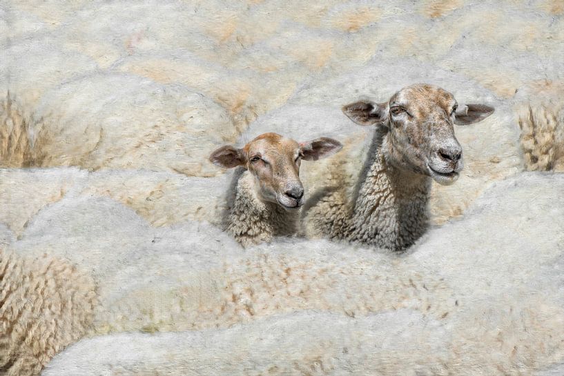 L'usine de laine 8 par Marc Lourens