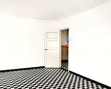 De witte kamer (met Vermeer's meisje met de parel)