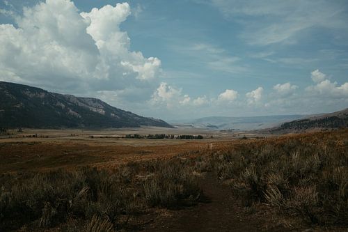 Yellowstone national park USA
