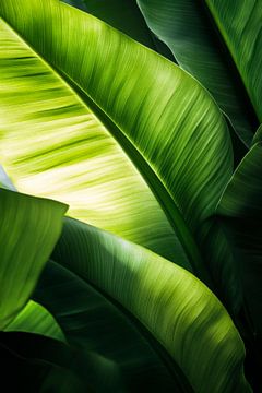 Groene bladeren van Poster Art Shop