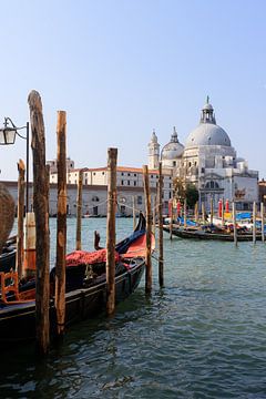 Basilika di San Marco - Venedig von Cheryl Zethof