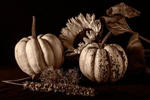 stilleven met pompoenen