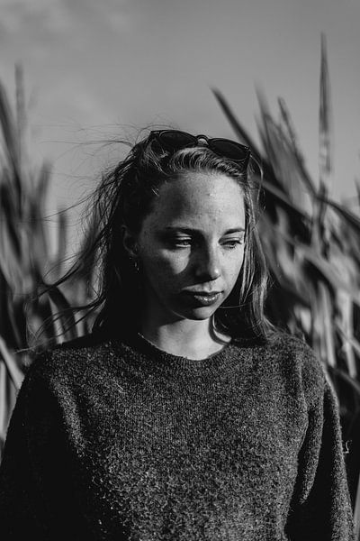 Sivry par Camille Mortier