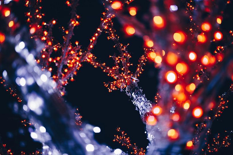 Bokeh Art by Hello Pompoyo
