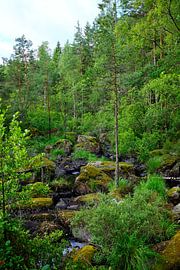 Swedish landscape 012 by Geertjan Plooijer