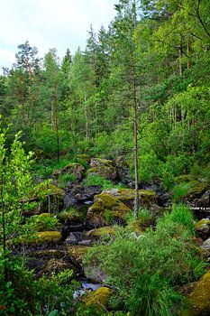Schwedische Landschaft 012