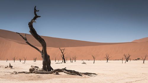 deadvlei Namibie