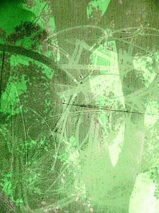 Tree Magic 62