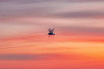 Boven zee, abstract van Yanuschka Fotografie | Noordwijk