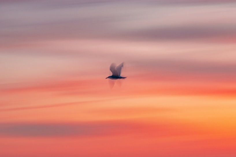 Boven zee, abstract van Yanuschka | Fotografie Noordwijk