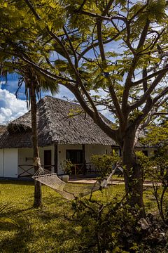 Farniente à Zanzibar sur Lisette van Leeuwen