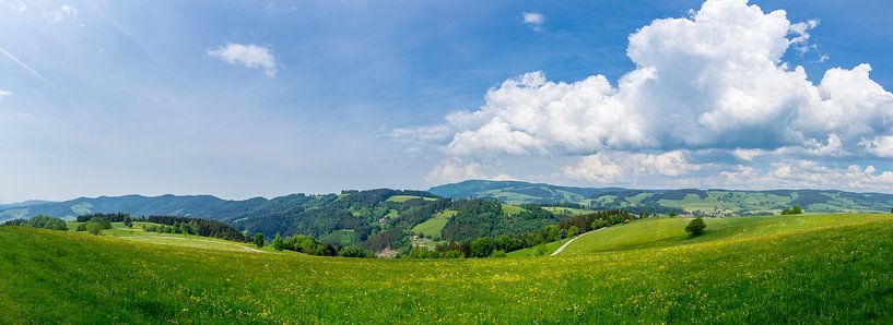 XXL Endless green landscape of black forest nature region by adventure-photos