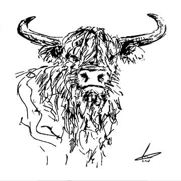 Dessin à la plume en noir et blanc d'une tête de highlander écossais