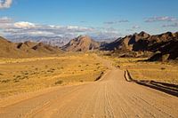Paths into the distance - on the Huib high plateau in Namibia