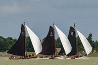 Skûtsje classic Frisian sailing Tjalk ships by Sjoerd van der Wal Photography thumbnail