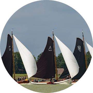 Skûtsje zeilboten op het IJsselmeer van Sjoerd van der Wal Fotografie