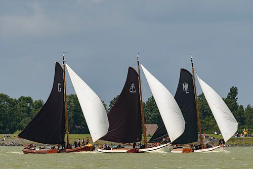 Skûtsje zeilboten op het IJsselmeer