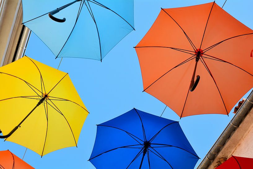 Umbrellas as decoration or artwork above an alley in the old town of Novigrad by Heiko Kueverling