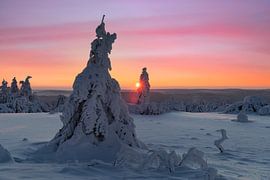Schwarzwald, ein Wintertraum von Markus Lange