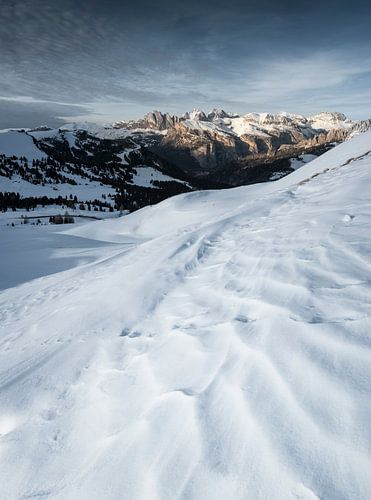 Winterse sfeer in alpine terrein