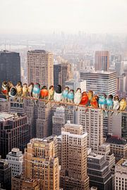 Bunch atop a Skyscraper von Marja van den Hurk