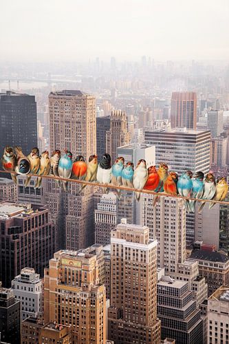 Bunch atop a Skyscraper