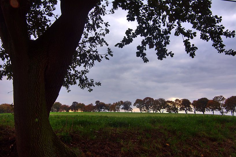 Allee 3 van Edgar Schermaul