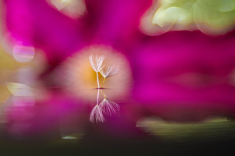 Big on the small scale by Thomas Riess