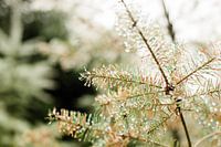 Tiny droplets