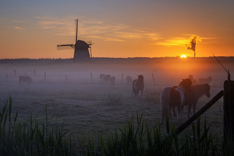 Misty Morning Lienden I von Sander Peters Fotografie