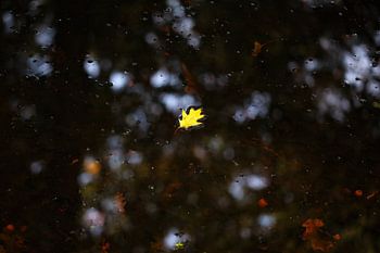 Sich über Wasser halten