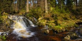 Wasserfall im Harz von Steffen Gierok