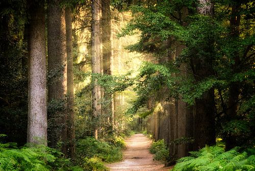 Welcome To The Pleasure Dome