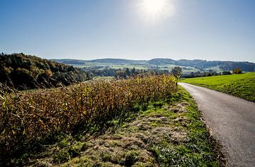 Rolling hills, early autumn sur Robert van Willigenburg