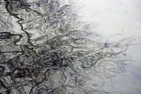 Water movement black and white