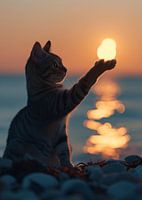 Cat holding sun