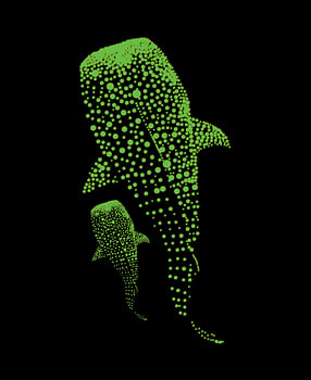 Gloeiende walvishaaien – Kunst met bioluminescente deeltjes