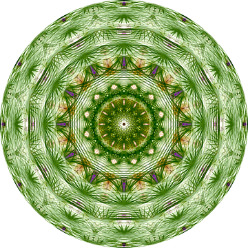 Mandala digital art 'Charisma' van Ivonne Fuhren- van de Kerkhof