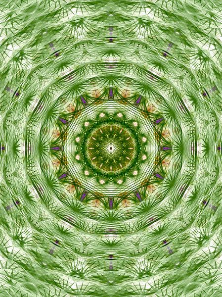 Mandala digital art 'Charisma' by Ivonne Fuhren- van de Kerkhof