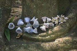 Flowers in weathered hand by Minimalistic Travel Photography by.Rieneke