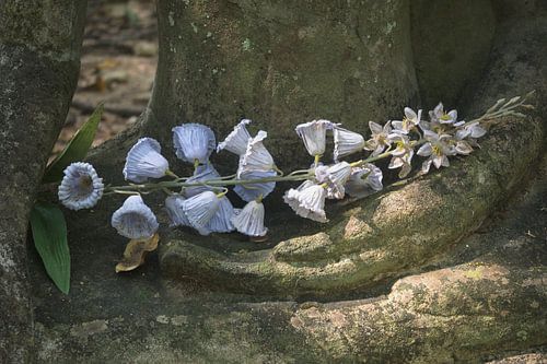 Blumen in verwitterter Hand