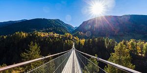 Hangbrug Gomsbrug in het Wallis in Zwitserland van Werner Dieterich