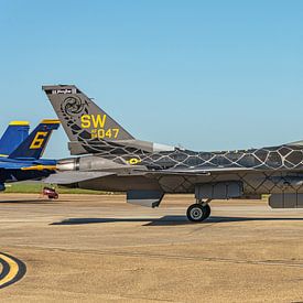 U.S. Air Force F-16 Viper Demonstrationsteam. von Jaap van den Berg