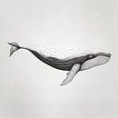 lonely whale by Liv ter Riet thumbnail