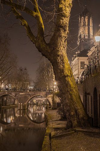 Utrecht Domtoren 17