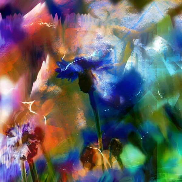 Kornblume by J D - Digital Art