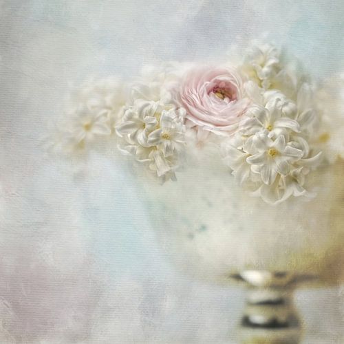 A delicate touch of spring