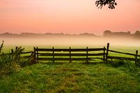 Mist achter het hek